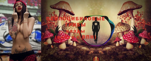 винт Гусиноозёрск