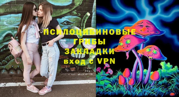 винт Гусиноозёрск