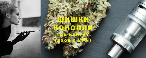 стафф Тутаев