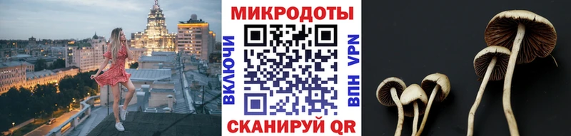 Псилоцибиновые грибы Cubensis  Приморск 